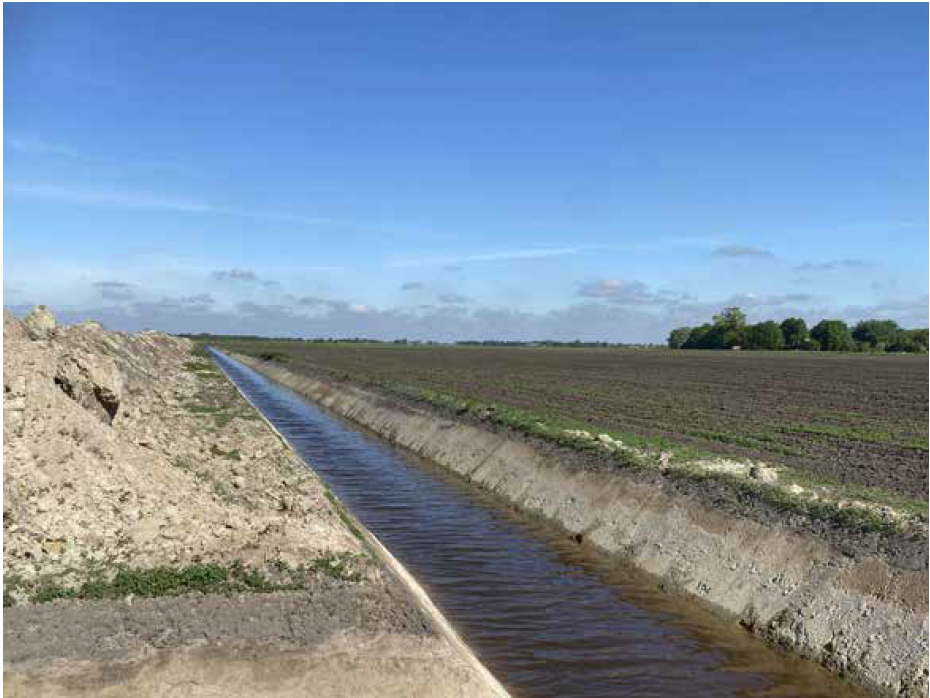 Singelbeplanting Schildwolde
